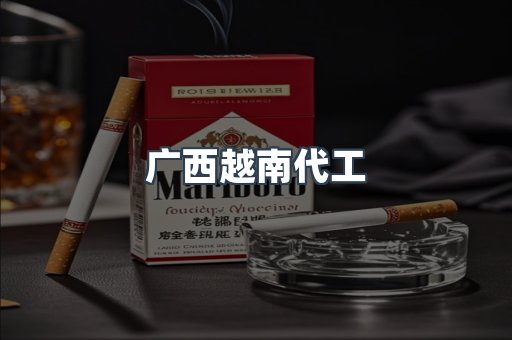 广西越南代工
